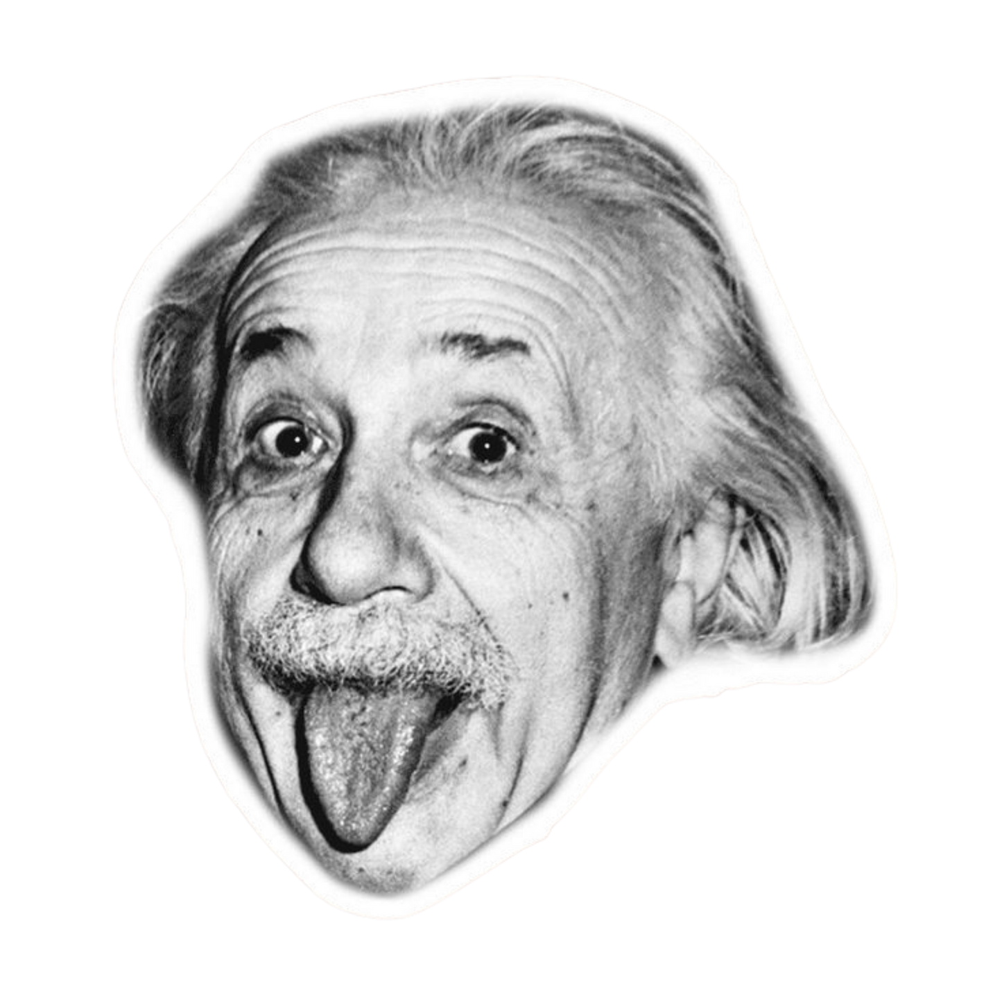Einstein | Hollywood & Bollywood Celebrities Premium Sticker | Entertainment