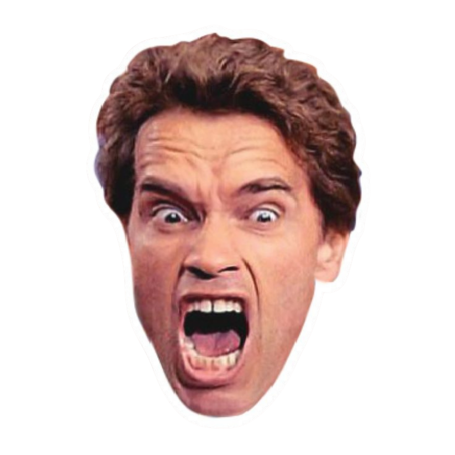 Schwarzenegger | Hollywood & Bollywood Celebrities Premium Sticker | Entertainment