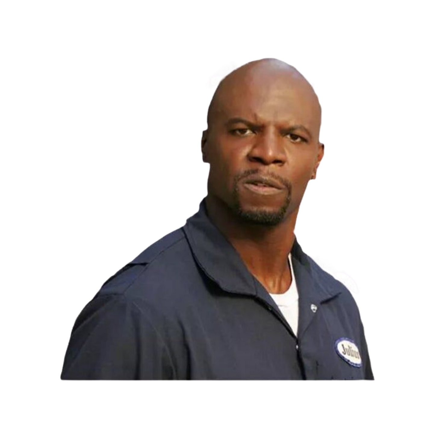 Terry Crews | Hollywood & Bollywood Celebrities Premium Sticker | Entertainment