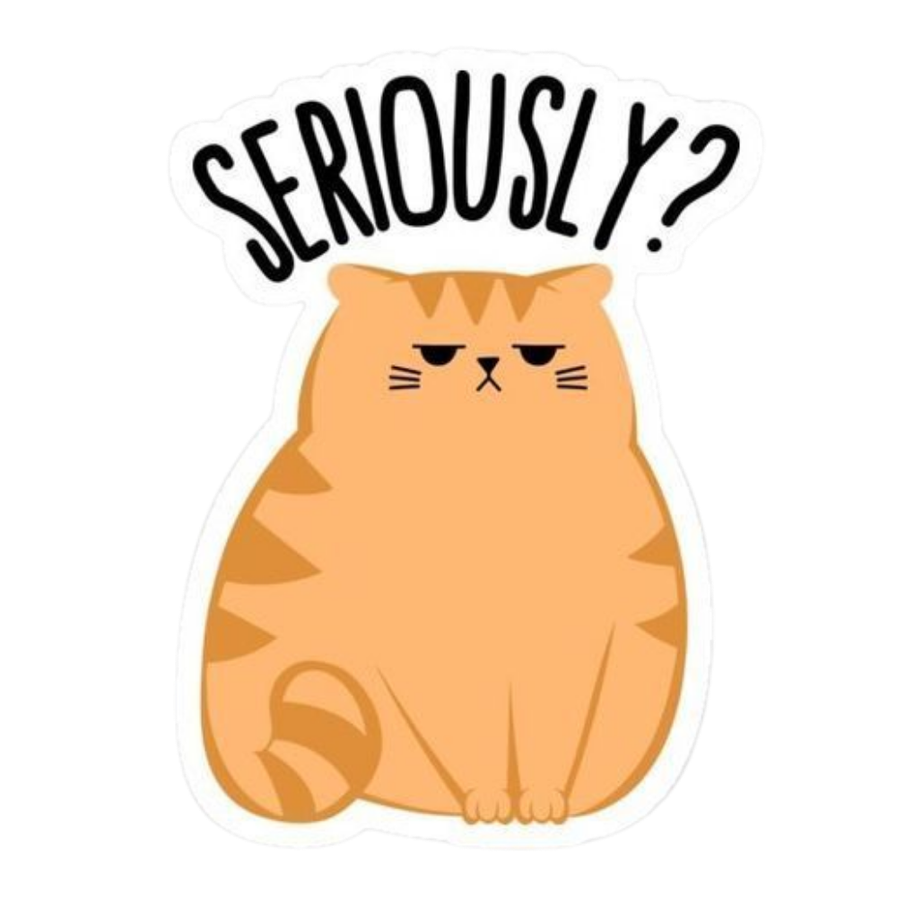 Cat 21 | Cat Premium Sticker | Cute Vibes πΊ