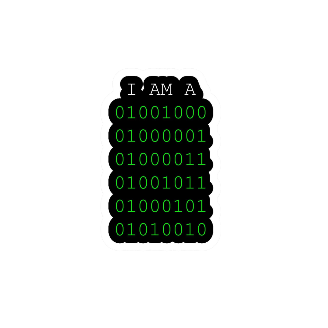 Software Devloper 3 Sticker