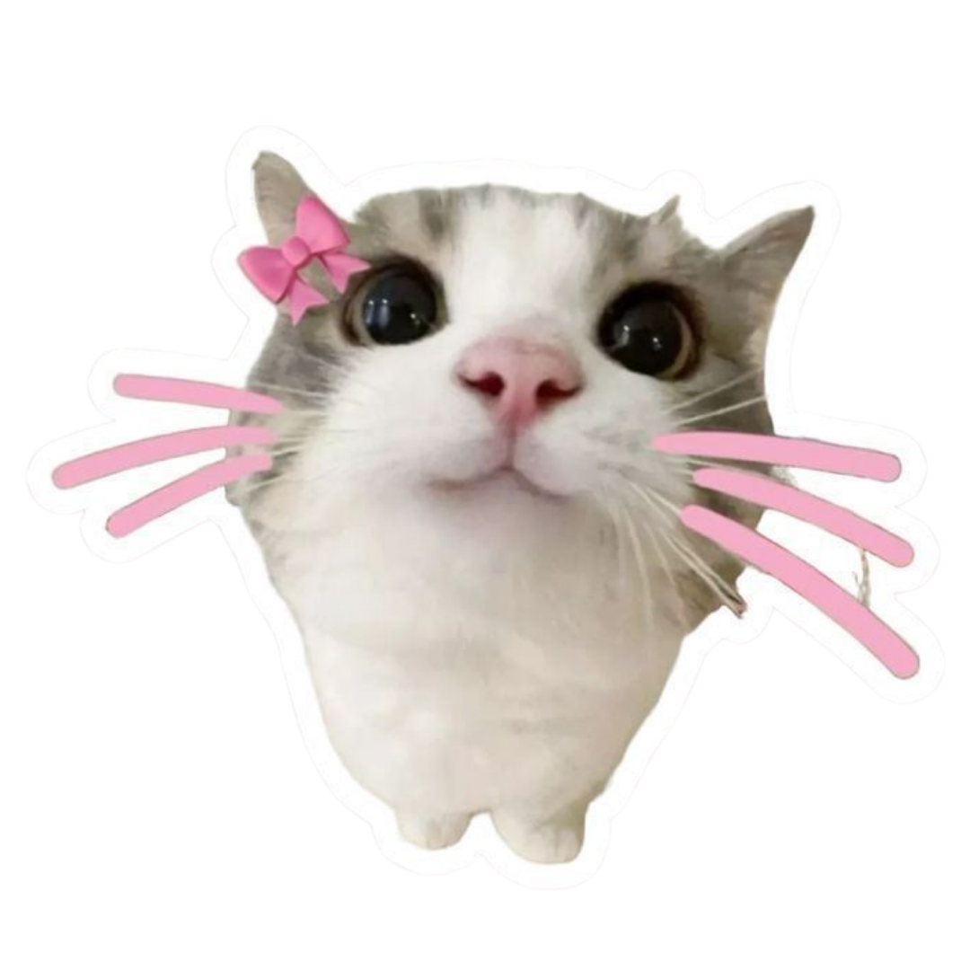 Pink Sticker 42 | Women Pink Barbie Lady | Aesthetic Girl Power Premium Sticker