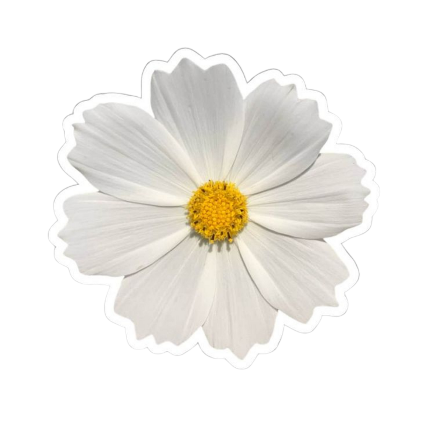 Flower 7 | Flower Premium Sticker | Flower Sticker