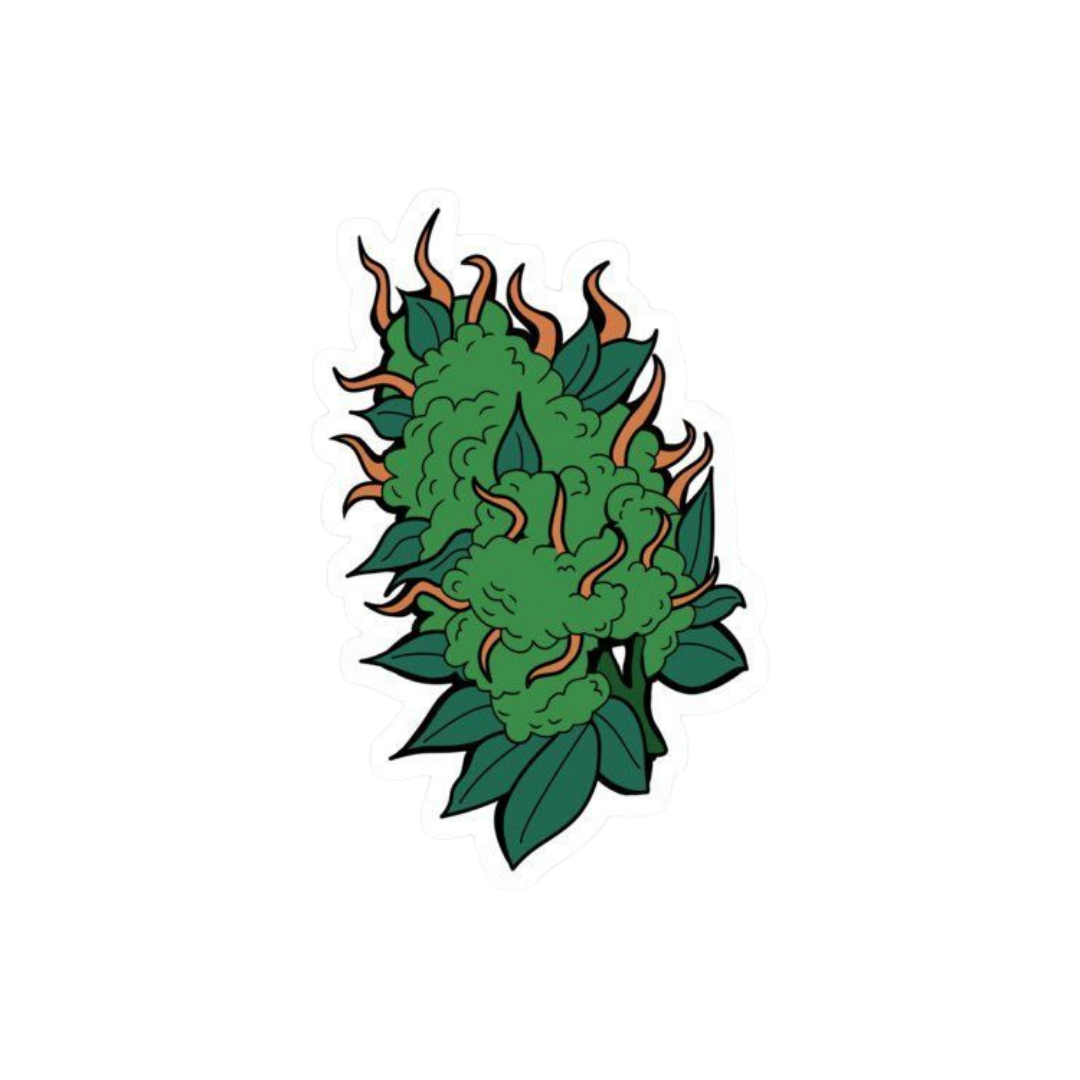 Kush Hemp sticker