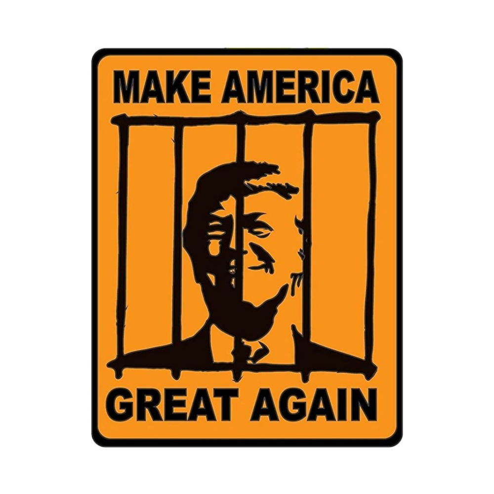 Donald Trump 06 | Donald Trump Sticker | Political