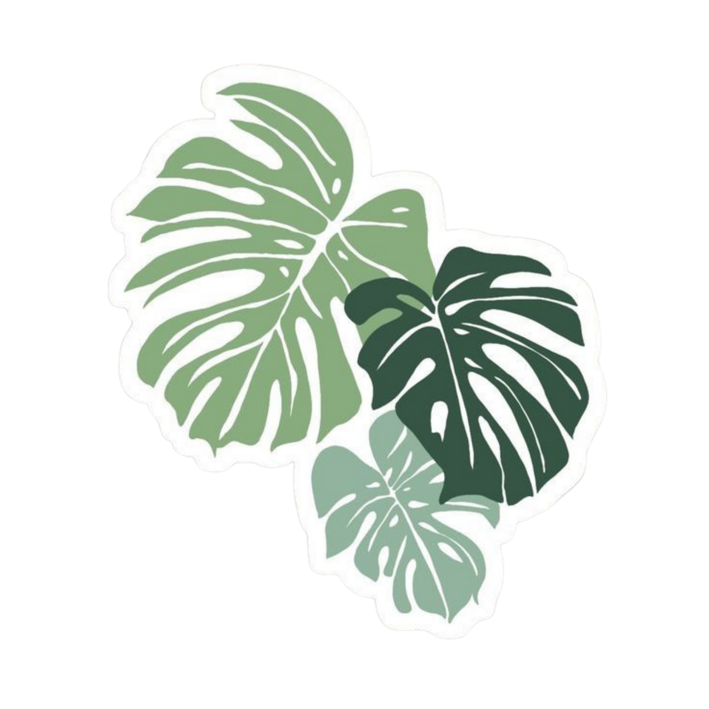 Plant 15 | Plant Premium Sticker | Plant Sticker