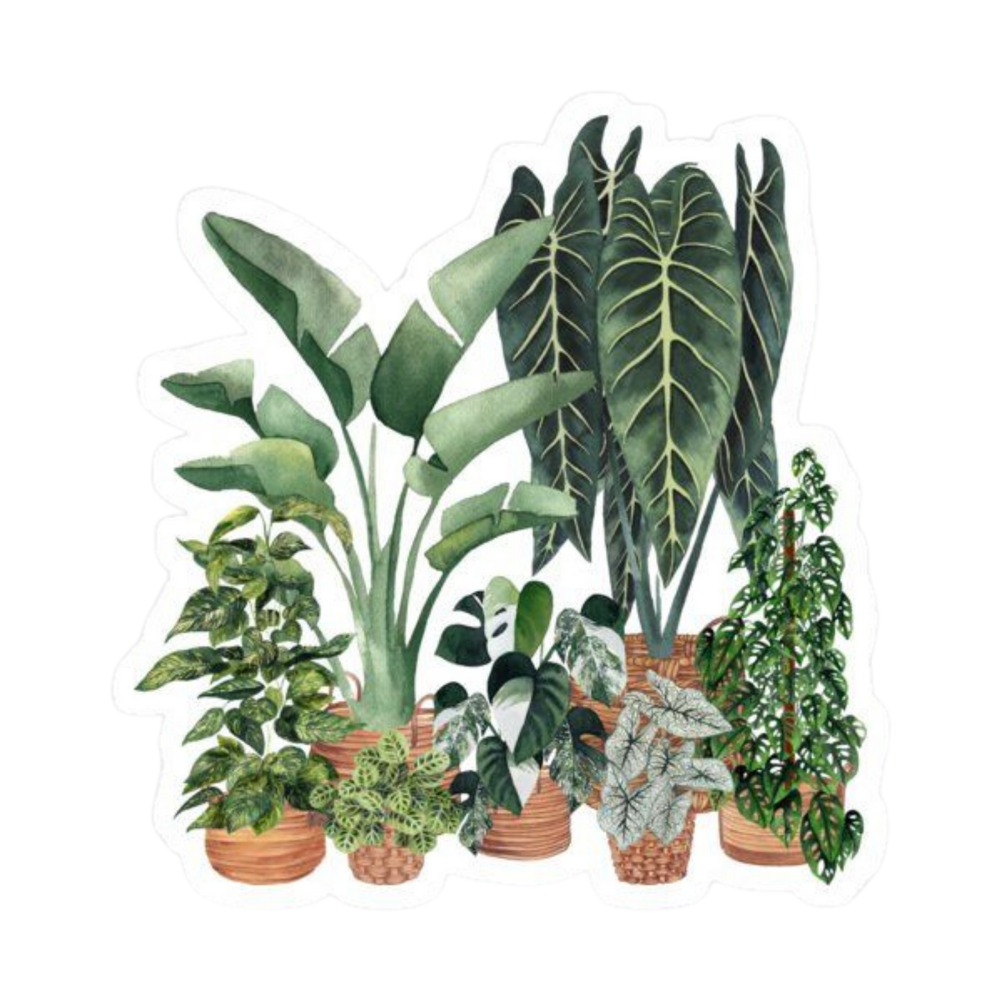 Plant 20 | Plant Premium Sticker | Plant Sticker