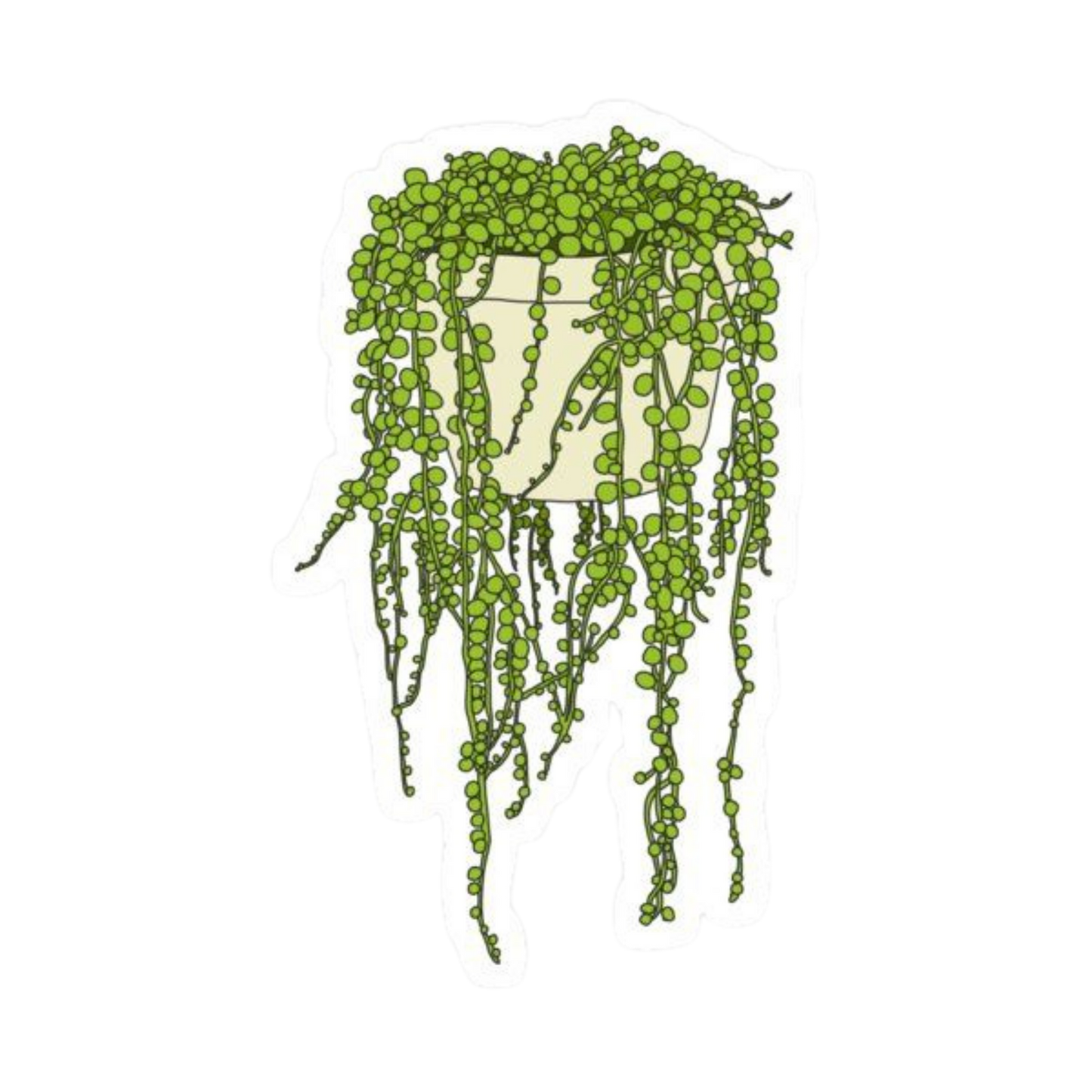 Plant 24 | Plant Premium Sticker | Plant Sticker