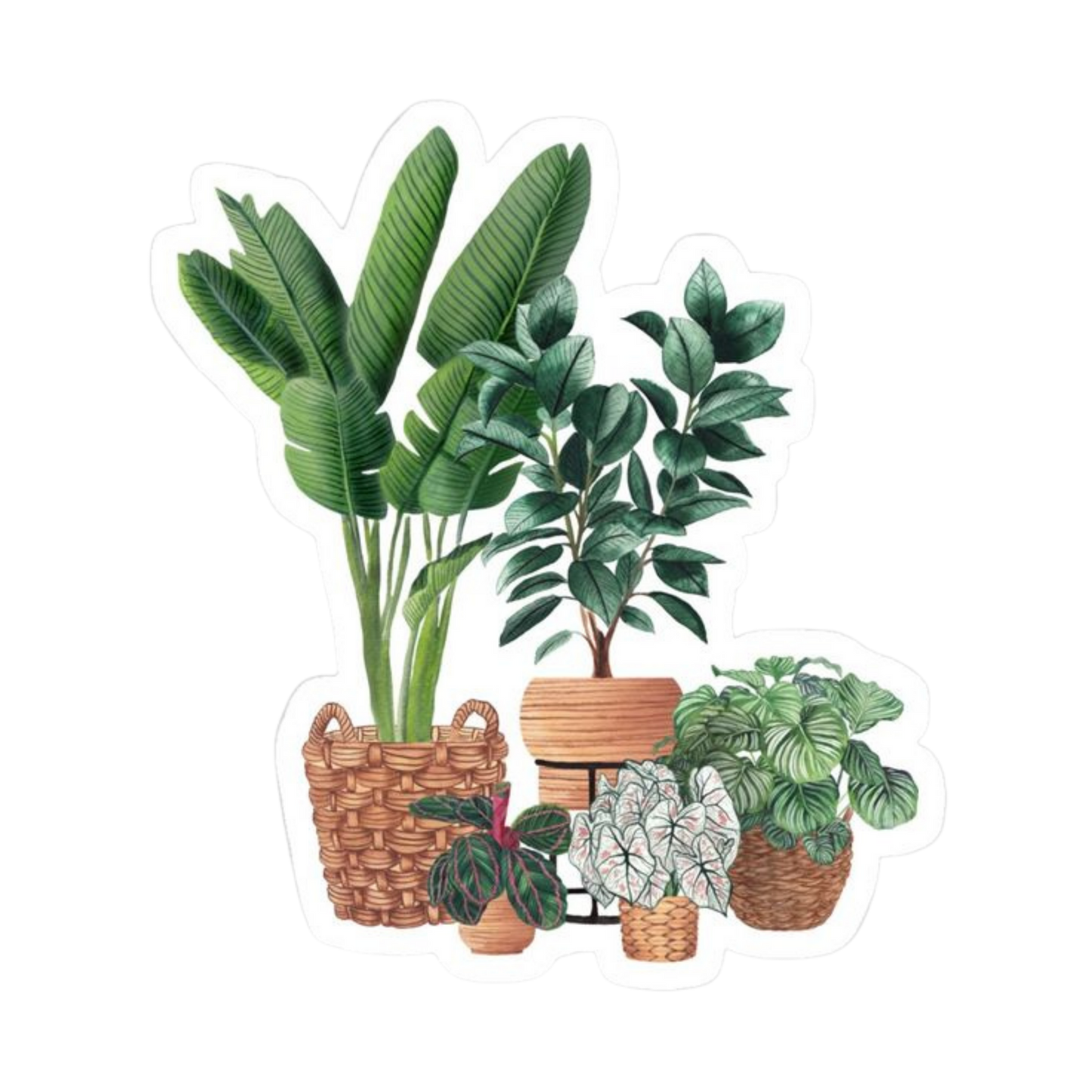 Plant 8 | Plant Premium Sticker | Plant Sticker