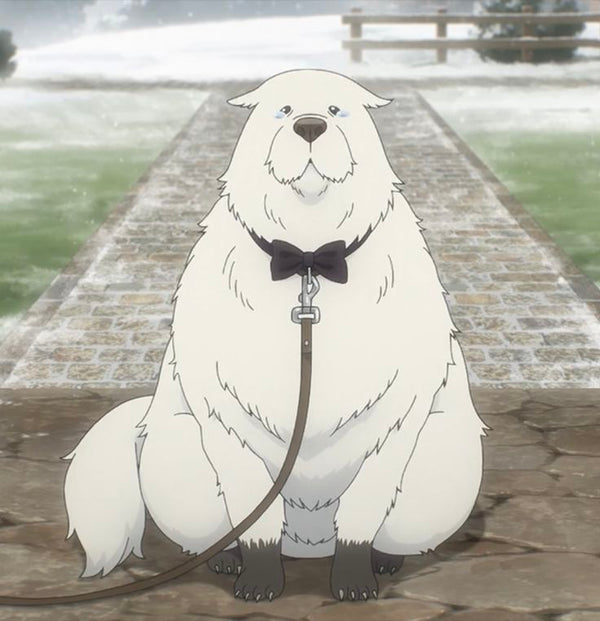 Bond Forger Spy X Family Anime Stickers