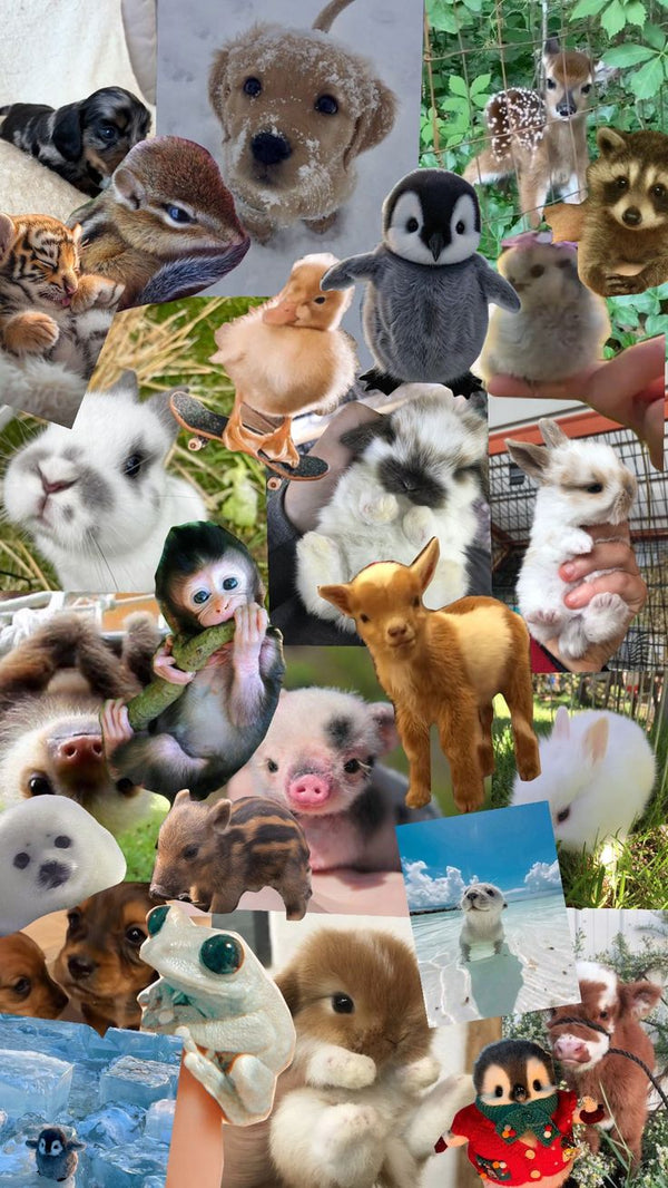 Animal Stickers | Cute & Wild Animal Designs - StickerBD