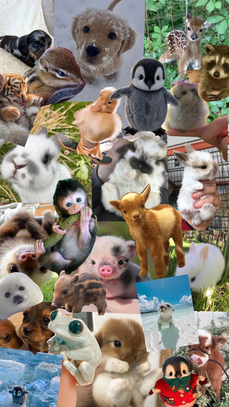 Animal Stickers | Cute & Wild Animal Designs