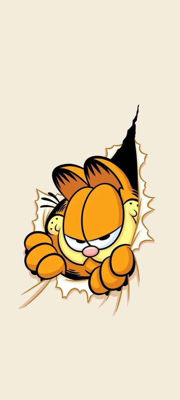Cat Stickers | Cute & Funny Cat Designs | StickerBD