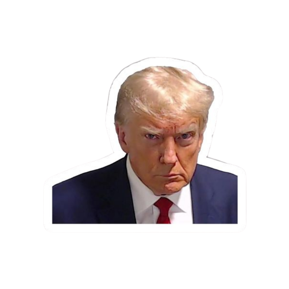 Donald Trump 11 | Donald Trump Sticker | Political