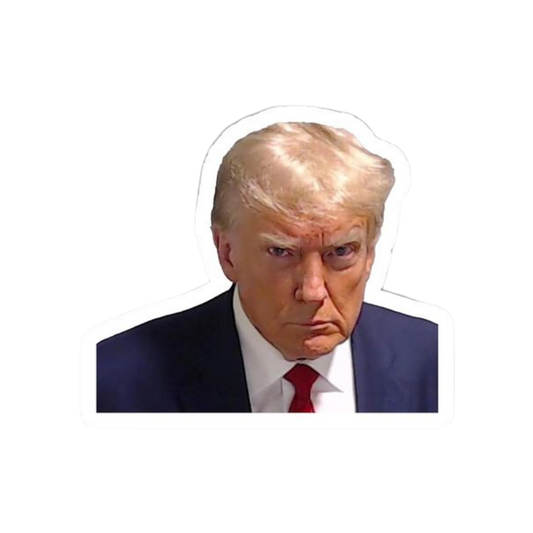 Donald Trump 11 | Donald Trump Sticker | Political