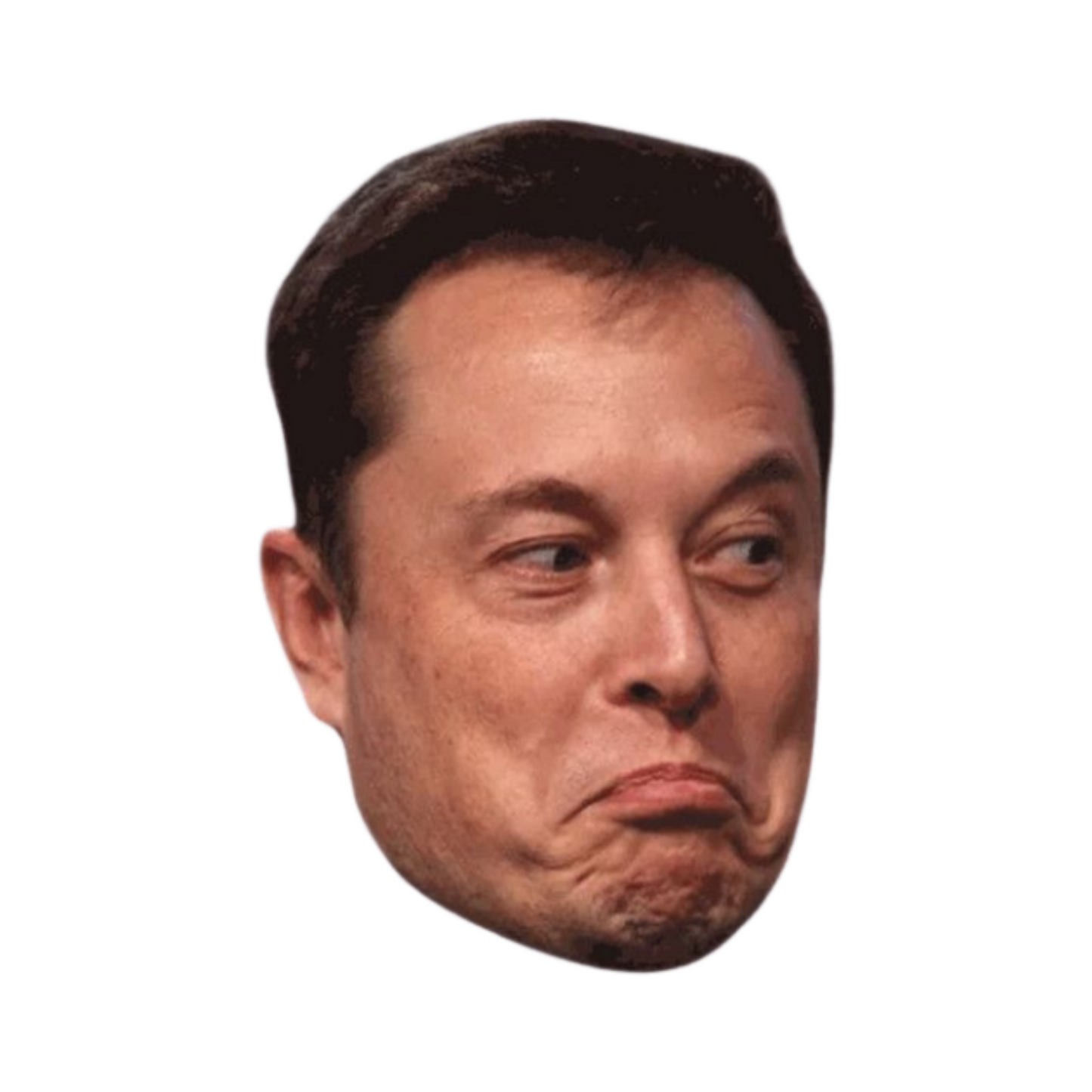 Elon Musk | Hollywood & Bollywood Celebrities Premium Sticker | Entertainment