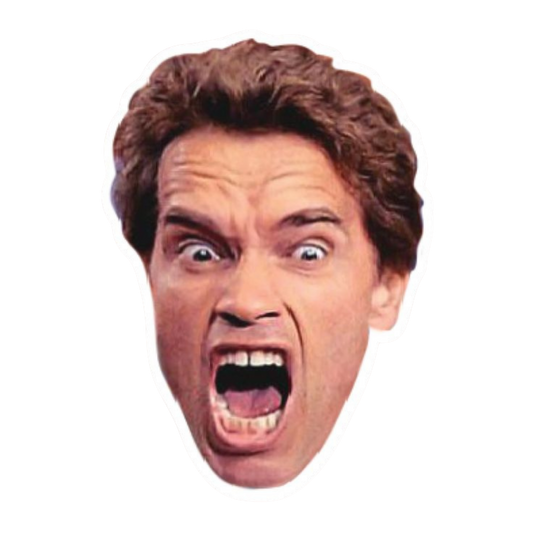 Schwarzenegger | Hollywood & Bollywood Celebrities Premium Sticker | Entertainment