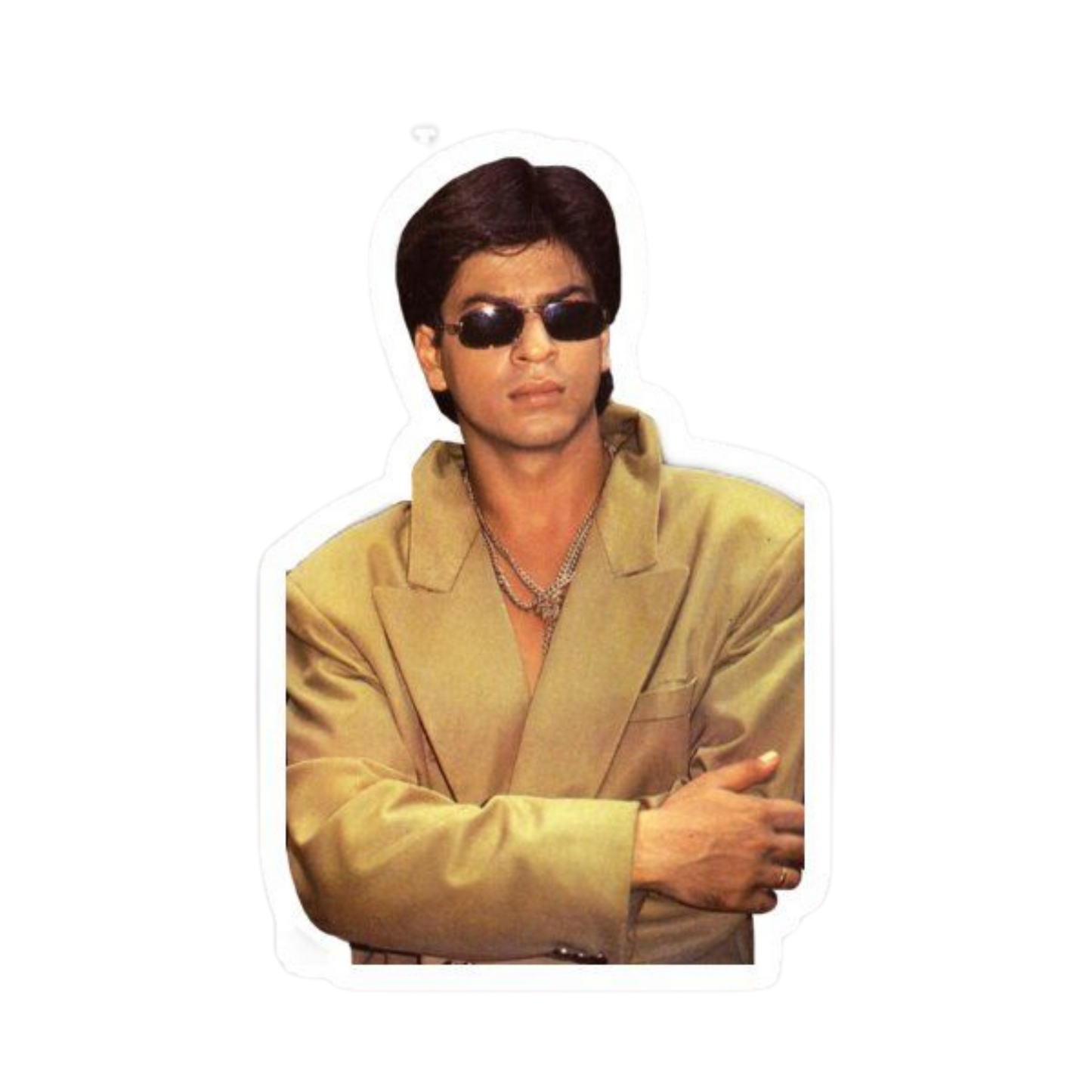 SRK | Hollywood & Bollywood Celebrities Premium Sticker | Entertainment