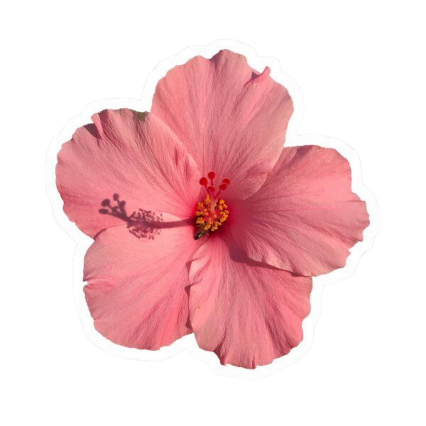 Flower 2 | Flower Premium Sticker | Flower Sticker