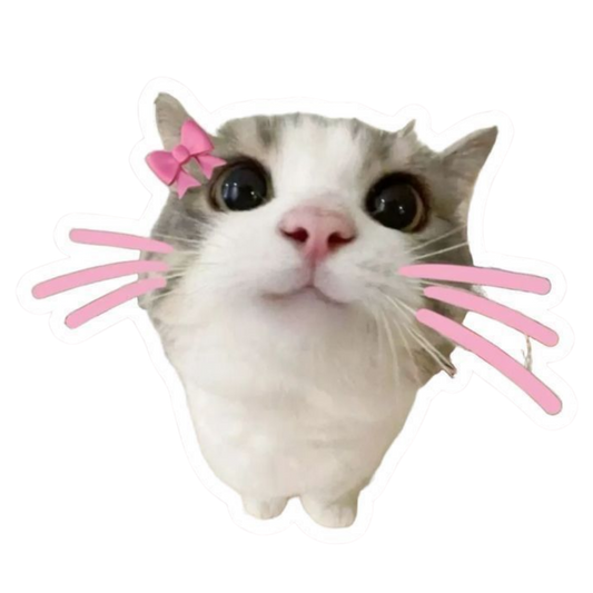 Pink Sticker 42 | Women Pink Barbie Lady | Aesthetic Girl Power Premium Sticker