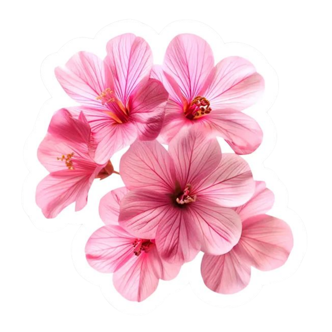 Pink Sticker 43 | Women Pink Barbie Lady | Aesthetic Girl Power Premium Sticker