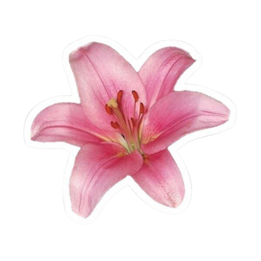 Flower 3 | Flower Premium Sticker | Flower Sticker