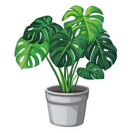 Plant 3 | Plant Premium Sticker | Plant Sticker