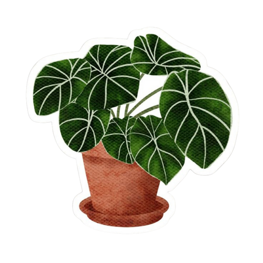 Plant 13 | Plant Premium Sticker | Plant Sticker
