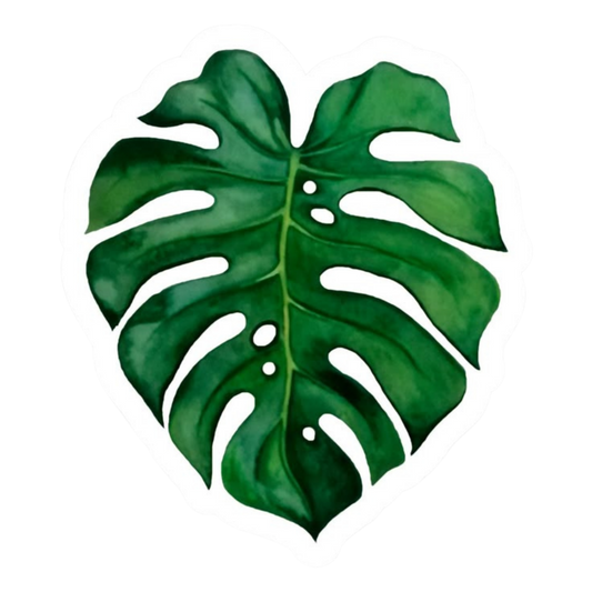 Plant 14 | Plant Premium Sticker | Plant Sticker