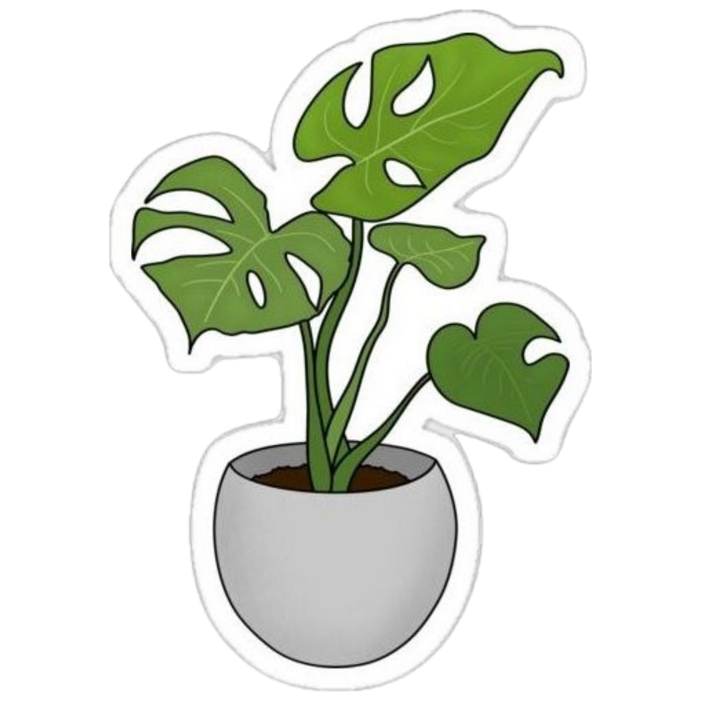 Plant 16 | Plant Premium Sticker | Plant Sticker