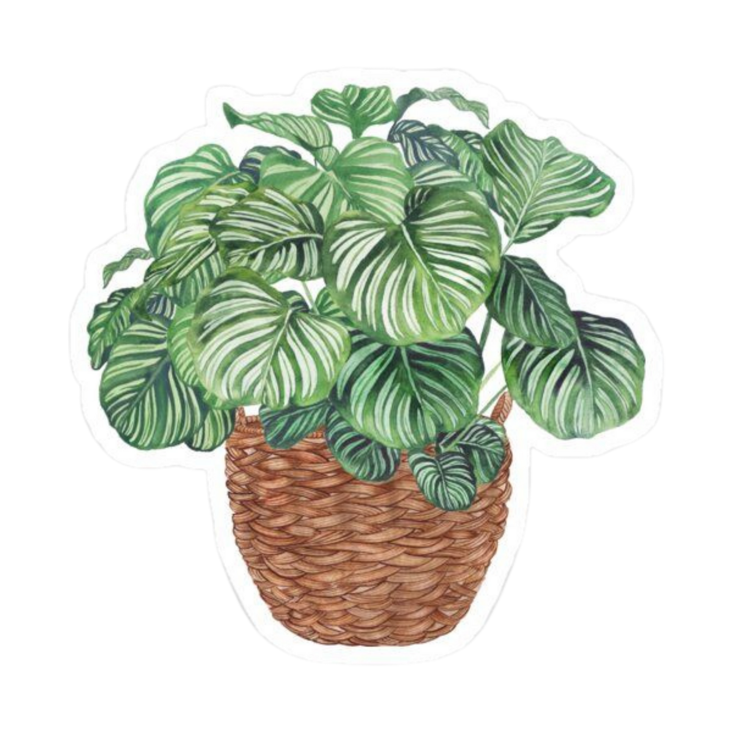 Plant 18 | Plant Premium Sticker | Plant Sticker