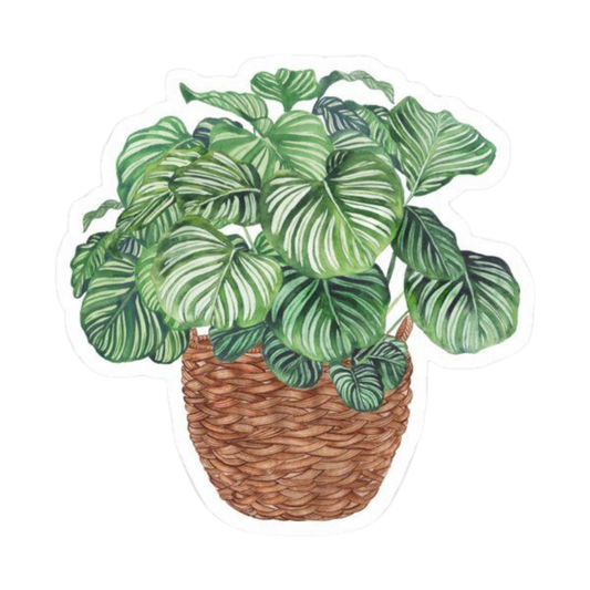 Plant 18 | Plant Premium Sticker | Plant Sticker