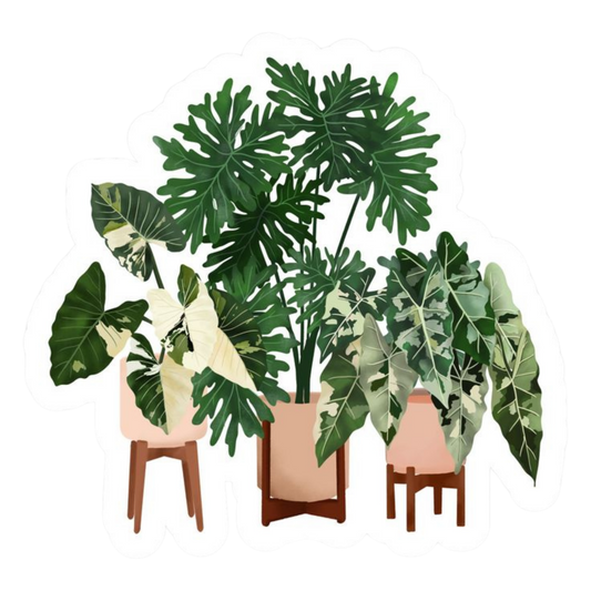Plant 19 | Plant Premium Sticker | Plant Sticker