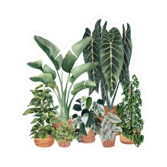 Plant 20 | Plant Premium Sticker | Plant Sticker