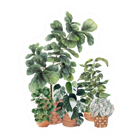 Plant 21 | Plant Premium Sticker | Plant Sticker