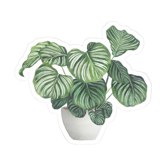 Plant 22 | Plant Premium Sticker | Plant Sticker