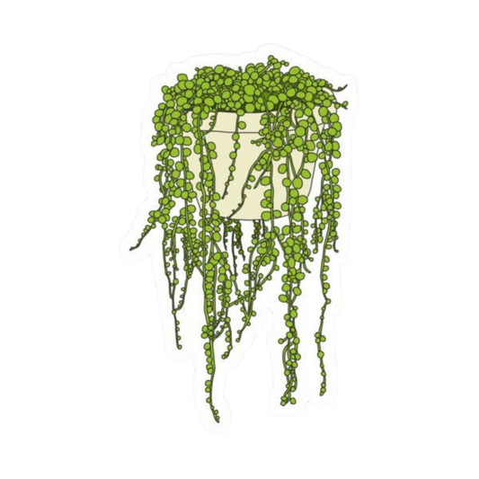 Plant 24 | Plant Premium Sticker | Plant Sticker