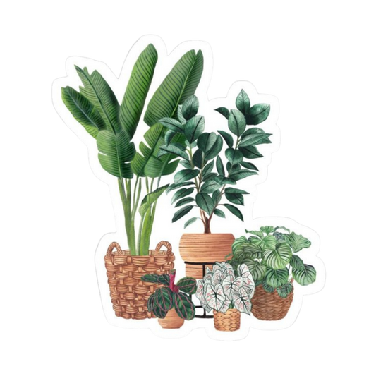 Plant 8 | Plant Premium Sticker | Plant Sticker