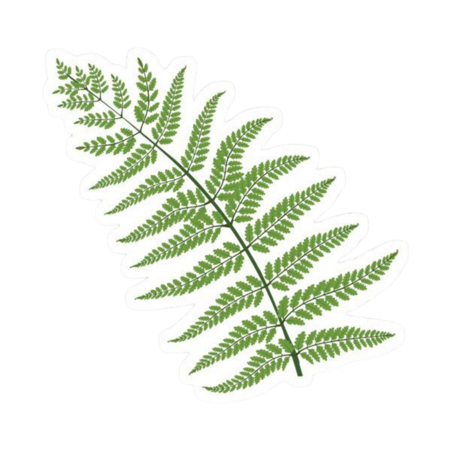 Plant 25 | Plant Premium Sticker | Plant Sticker